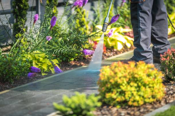 Reliable Norristown, PA Pressure Washing Services Solutions
